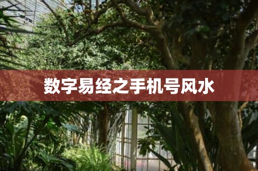 数字易经之手机号风水
