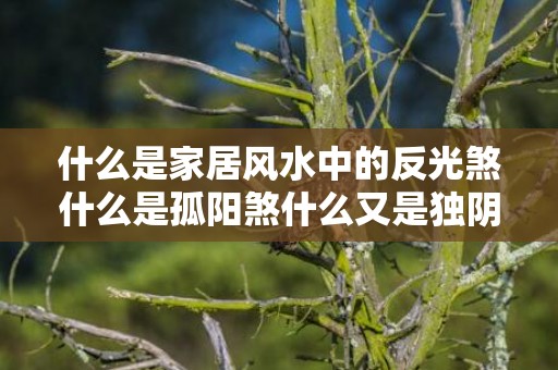 什么是家居风水中的反光煞什么是孤阳煞什么又是独阴煞？
