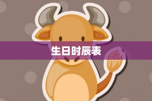 生日时辰表