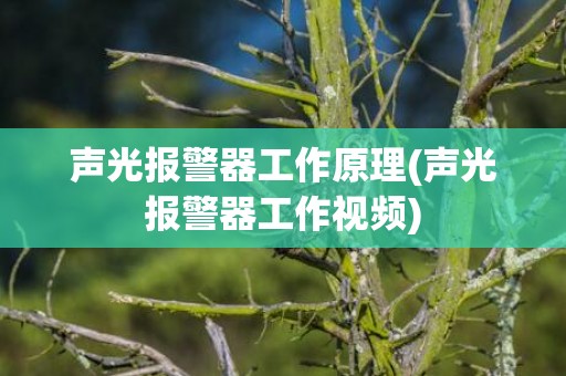 声光报警器工作原理(声光报警器工作视频)