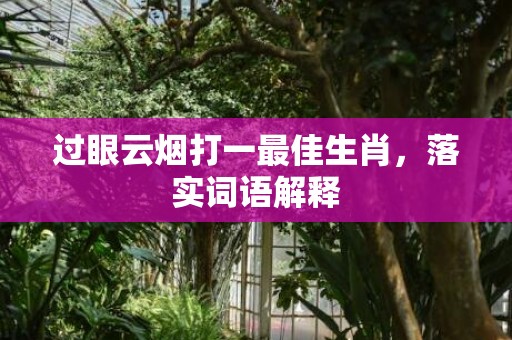 过眼云烟打一最佳生肖，落实词语解释