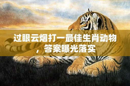 过眼云烟打一最佳生肖动物，答案曝光落实