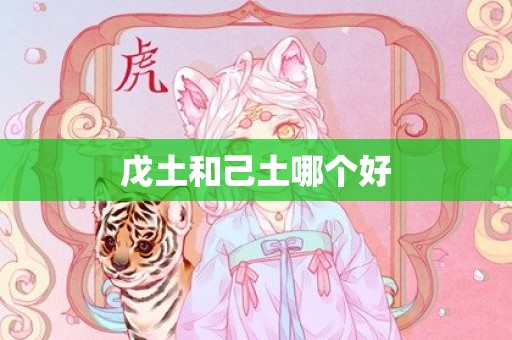 戊土和己土哪个好