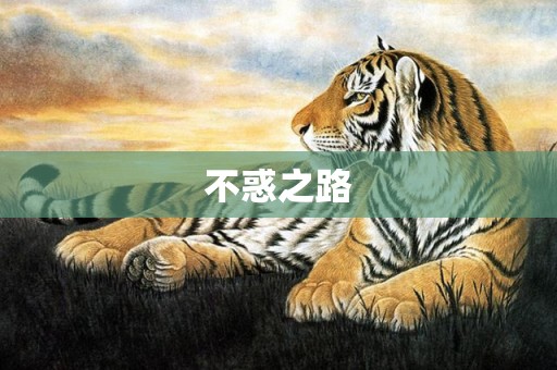 不惑之路