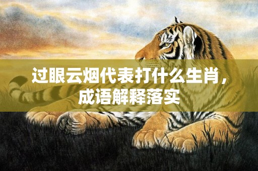过眼云烟代表打什么生肖，成语解释落实