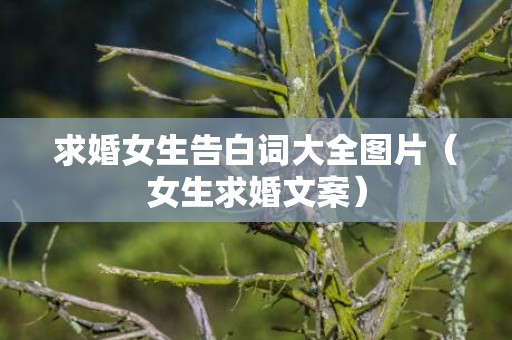 求婚女生告白词大全图片（女生求婚文案）