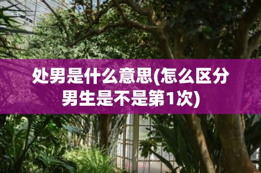 处男是什么意思(怎么区分男生是不是第1次)