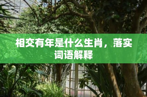 相交有年是什么生肖，落实词语解释