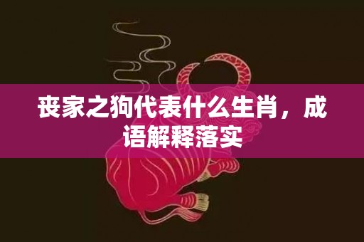 丧家之狗代表什么生肖，成语解释落实