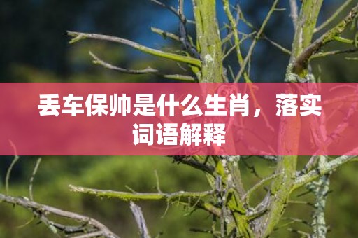 丢车保帅是什么生肖，落实词语解释