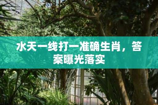 水天一线打一准确生肖，答案曝光落实