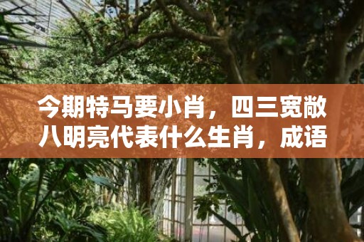 今期特马要小肖，四三宽敞八明亮代表什么生肖，成语解释落实