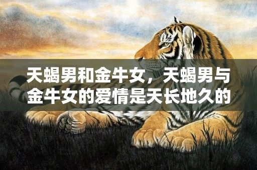 天蝎男和金牛女，天蝎男与金牛女的爱情是天长地久的吗？