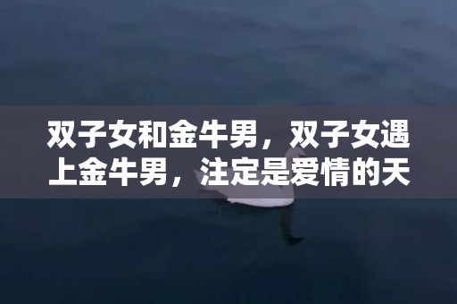 双子女和金牛男，双子女遇上金牛男，注定是爱情的天长地久吗？