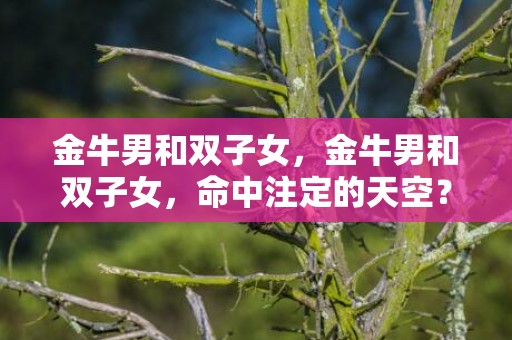 金牛男和双子女，金牛男和双子女，命中注定的天空？