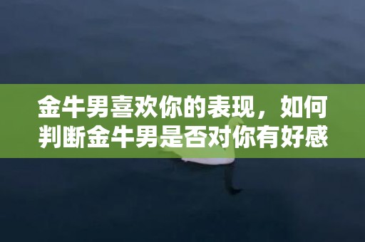 金牛男喜欢你的表现，如何判断金牛男是否对你有好感？