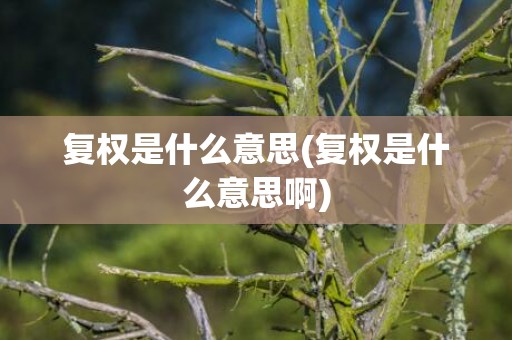 复权是什么意思(复权是什么意思啊)