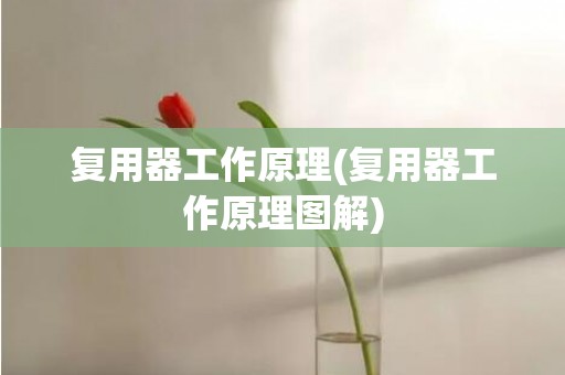 复用器工作原理(复用器工作原理图解)