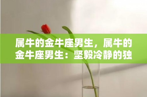 属牛的金牛座男生，属牛的金牛座男生：坚毅冷静的独行侠吗？