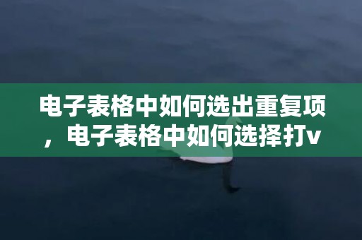 电子表格中如何选出重复项，电子表格中如何选择打v