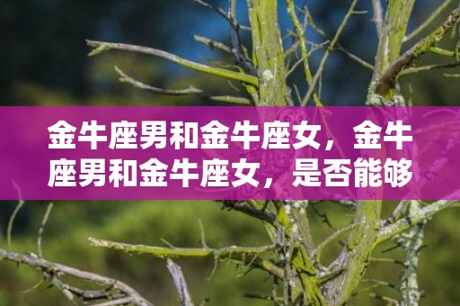 金牛座男和金牛座女，金牛座男和金牛座女，是否能够和谐相处？