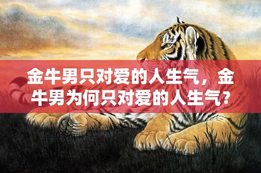 金牛男只对爱的人生气，金牛男为何只对爱的人生气？