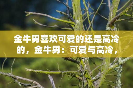 金牛男喜欢可爱的还是高冷的，金牛男：可爱与高冷，哪种女生更吸引他？