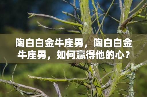 陶白白金牛座男，陶白白金牛座男，如何赢得他的心？