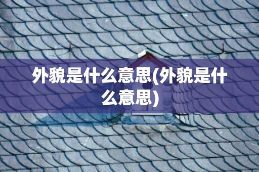 外貌是什么意思(外貌是什么意思)