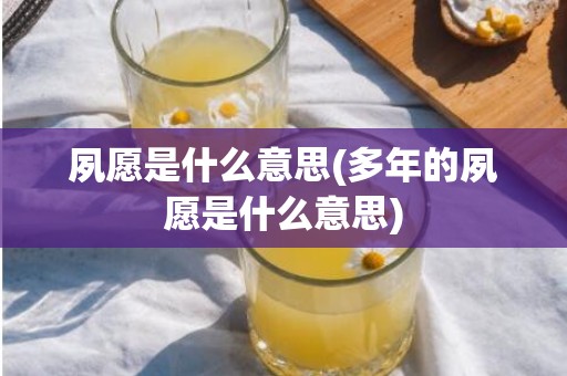 夙愿是什么意思(多年的夙愿是什么意思)