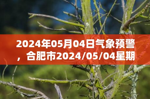 2024年05月04日气象预警，合肥市2024/05/04星期六小雨最高气温19℃