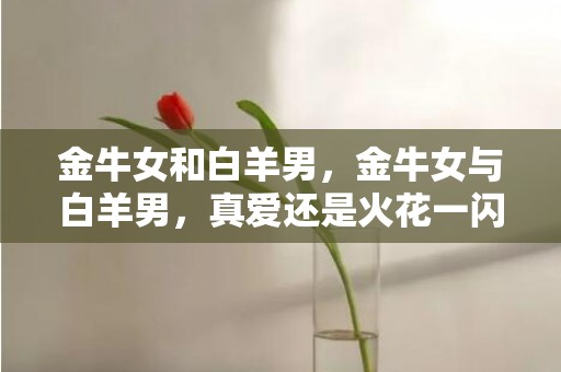 金牛女和白羊男，金牛女与白羊男，真爱还是火花一闪而过？