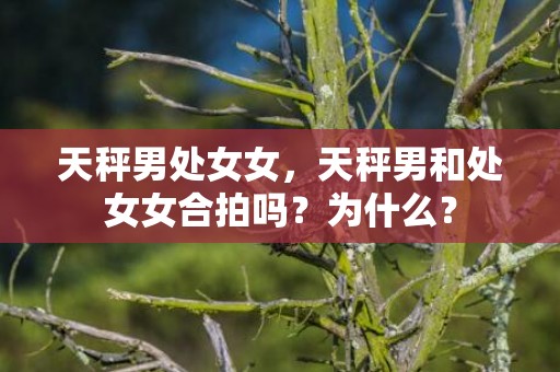 天秤男处女女，天秤男和处女女合拍吗？为什么？