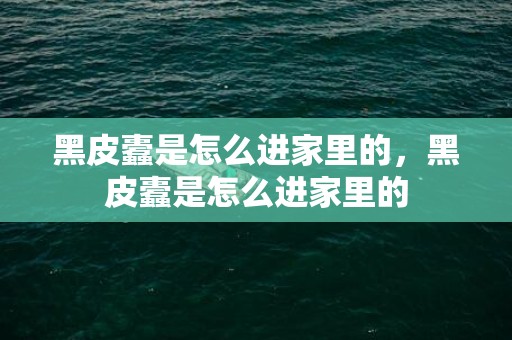 黑皮蠹是怎么进家里的，黑皮蠹是怎么进家里的