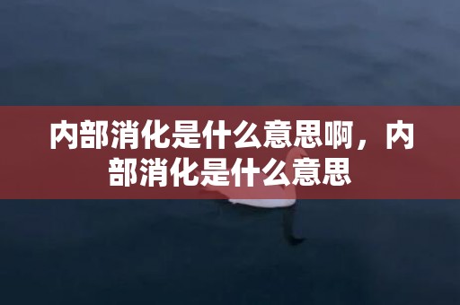 内部消化是什么意思啊，内部消化是什么意思