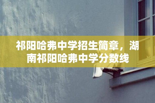 祁阳哈弗中学招生简章，湖南祁阳哈弗中学分数线