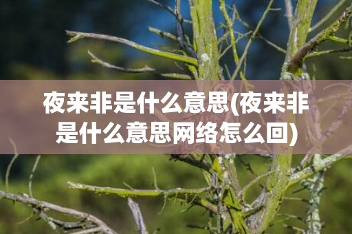夜来非是什么意思(夜来非是什么意思网络怎么回)