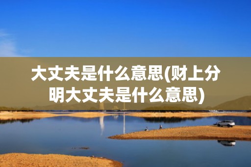 大丈夫是什么意思(财上分明大丈夫是什么意思)