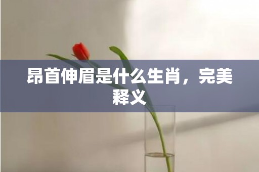 昂首伸眉是什么生肖，完美释义