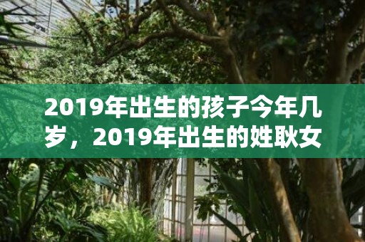 2019年出生的孩子今年几岁，2019年出生的姓耿女孩如何起名，宜用什么字