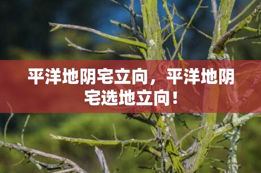 平洋地阴宅立向，平洋地阴宅选地立向！