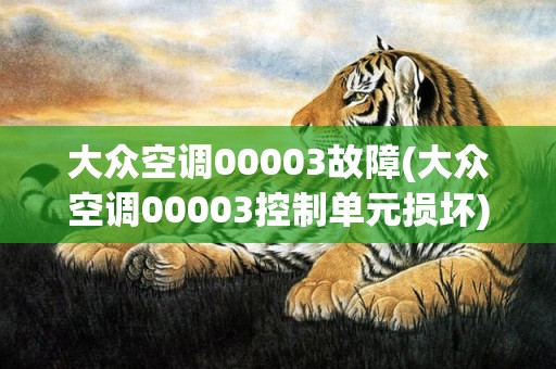 大众空调00003故障(大众空调00003控制单元损坏)