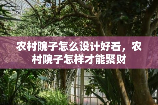 农村院子怎么设计好看，农村院子怎样才能聚财