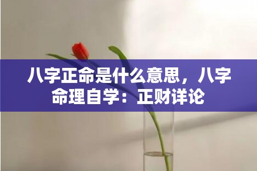 八字正命是什么意思，八字命理自学：正财详论