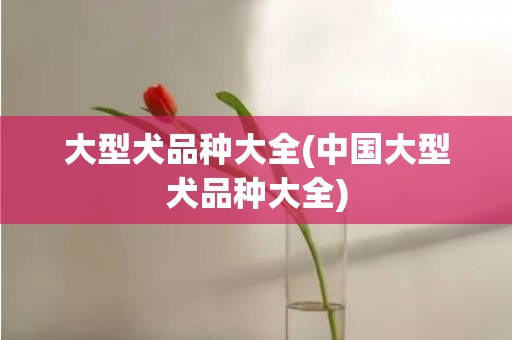 大型犬品种大全(中国大型犬品种大全)