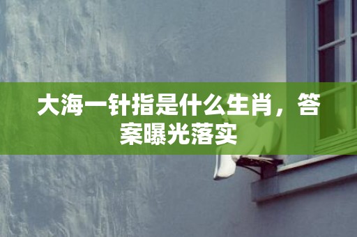 大海一针指是什么生肖，答案曝光落实