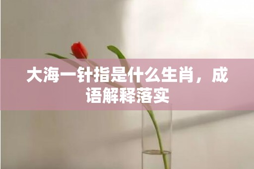 大海一针指是什么生肖，成语解释落实