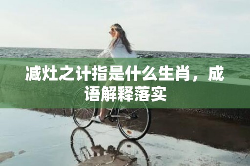 减灶之计指是什么生肖，成语解释落实