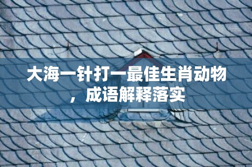 大海一针打一最佳生肖动物，成语解释落实