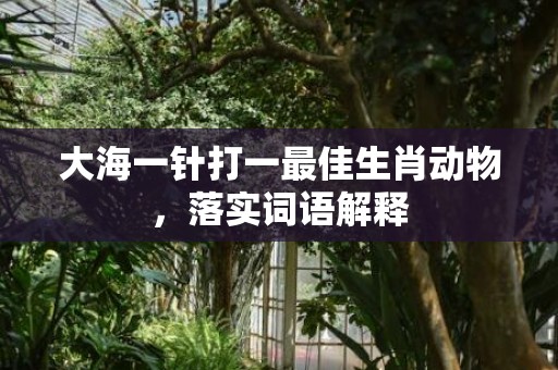 大海一针打一最佳生肖动物，落实词语解释